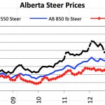 Alberta steer prices chart