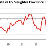 Alberta versus U.S. cow slaughter prices