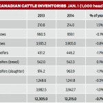 Canadian cattle inventory chart