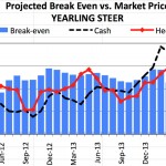 Break-even versus market steer chart