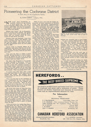 vintage newspaper article