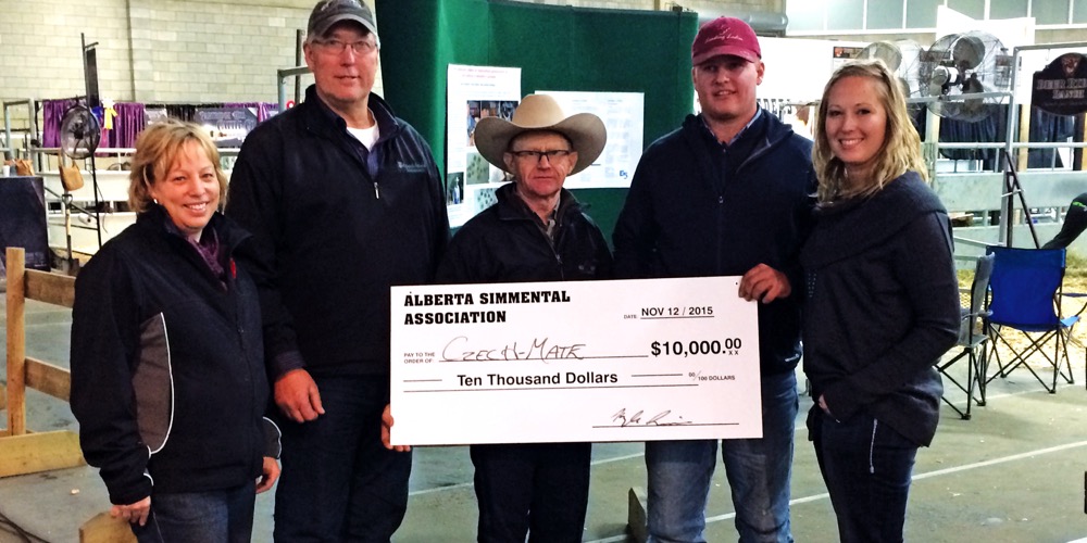 simmental heifer draft