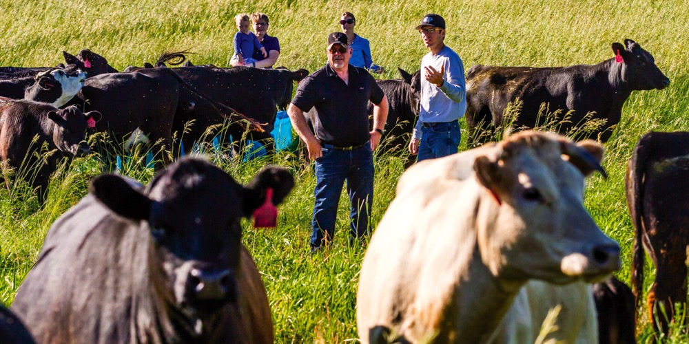It isn’t just business, the Boyds believe. They’re convinced their move to regenerative agriculture is good for families, and for their rural community too.