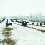 The swath grazing setup