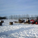 Tractor moving hay bales.