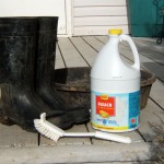 Rubber boots, a bottle of bleach, and a cleaning brush.