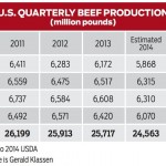 Feeder Cattle Market Looking Forward