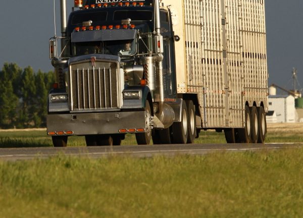 Has traceability fallen off the track?
