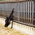 The tipping point between supply and demand