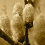 Aunt Kate’s hallmarks in life were generosity and thoughtfulness