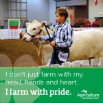 How the beef industry is portrayed