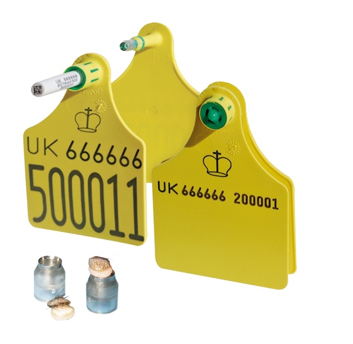 UK DNA ear tag