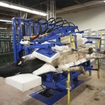 dairy cow on a tilt table