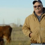 man in pasture with cattle
