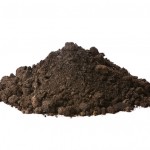 A major issue with our agricultural soils is that we've been mining them for many years.