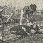 antique newspaper photo