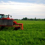Research has shown that forages, like cereals in the rotation, can provide an added boost to subsequent corn crops.