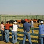 people on a farm