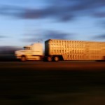 Feds fund AFAC welfare surveillance