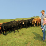 A combination of backgrounding and grass cattle works best for Jordan and Janelle Kowal.