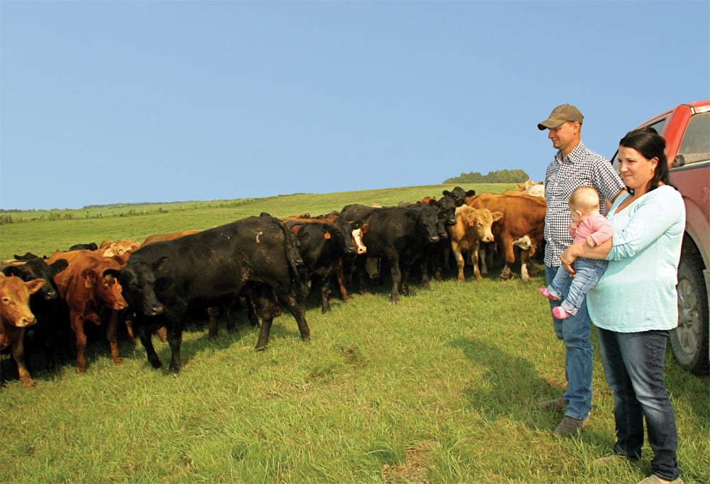 A  combination of backgrounding and grass cattle works best for Jordan and Janelle Kowal.
