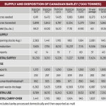 Market Talk: Feed grain overview