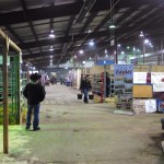 The commercial cattle area in the Stock Exchange was relatively quiet on Thursday morning.