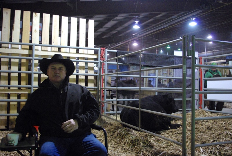 Vernon Davidson sips coffee while his bull, Davidson Walker, relaxes behind him.