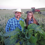Tim Smith inspects this year’s brassica forage with his daughter Katelyn.