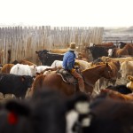 Comment: Is it time to raise the national checkoff?