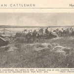 History: Salt: The livestock producer’s most essential mineral