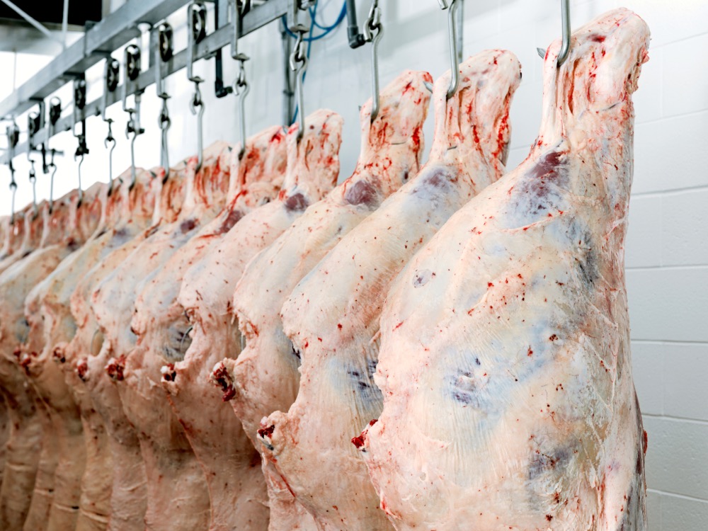 TPP ratification is crucial for Canada’s beef industry