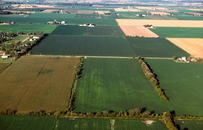 Aerial view of farmland, Canada
