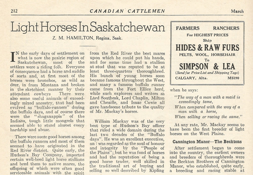 History: Light Horses in Saskatchewan