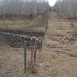 This is what one field looked like before I took it over. See what it looks like three years later (picture below).