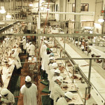 URGENT: More temporary foreign workers needed