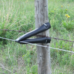 The first thing to plant to improve your pastures is more posts.
