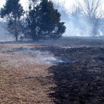 A three-year burn interval has been effective in areas with good moisture.
