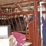 The benefits of palpating heifers