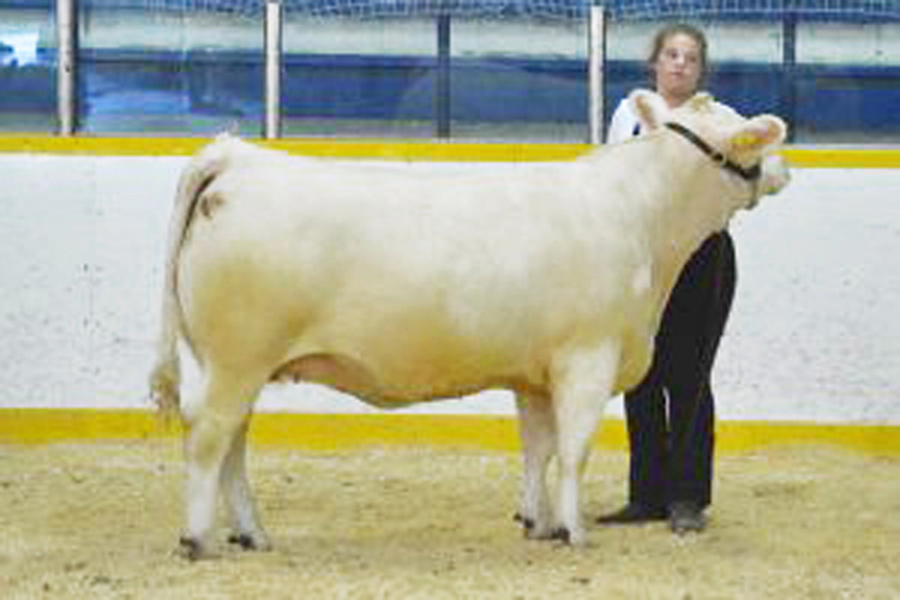 Annuroc Miss Coco 1C sired by XAL Firestruck was Grand Champion Female at Campbellford-Seymour Fair, August 7 in Campbellford, Ont. She is owned by Bogart Cattle Company, Tweed & Amabec Charolais, Warkworth. Grand Champion Bull was LDVF Cognac 2C sired by Tempo from Lajoie de Vivre Farm, Omemee.