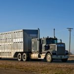 e-Manifests hit the road in Alberta