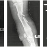 There are few fractures today that cannot be dealt with in an economical fashion, says Saskatchewan veterinarian Andy Acton.