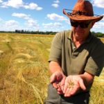 university of Manitoba forage breeder doug Cattani says there’s not much incentive for private companies to invest in perennial crops for which they can’t sell seed every year.