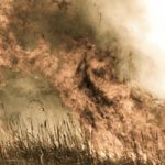 Out of control grass fire spread by strong wind