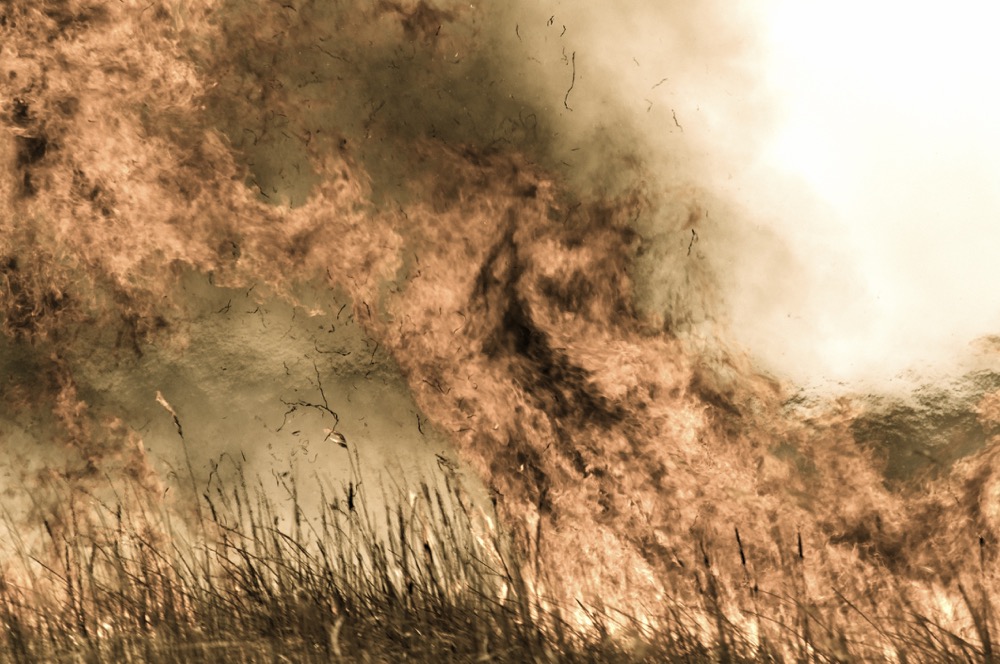 Out of control grass fire spread by strong wind