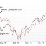 Market futures compared.