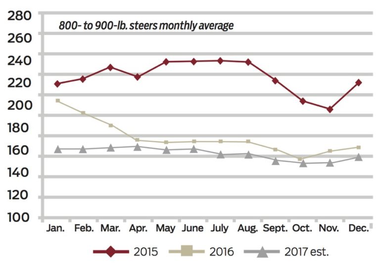 Fall feeder cattle outlook Canadian Cattlemen