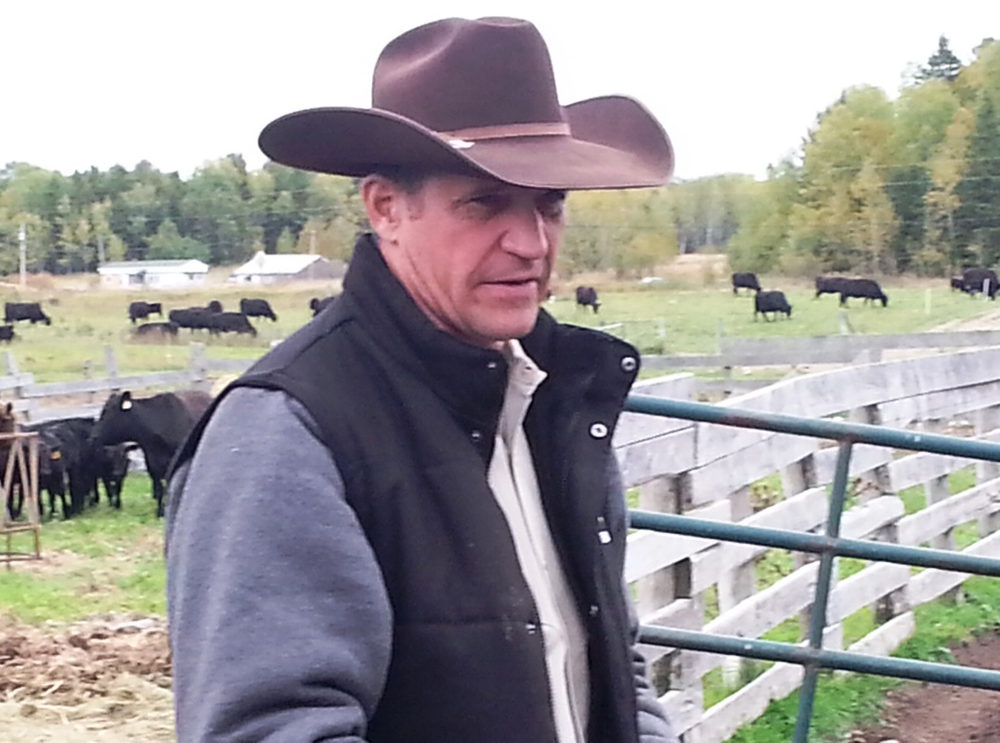 Special Livestock Central guest Curt Pate — internationally recognized stockmanship instructor.