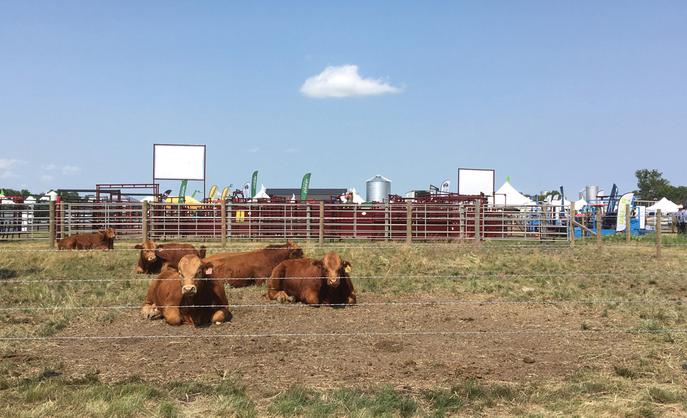A view of Livestock Central at last July's Ag in Motion farm show.