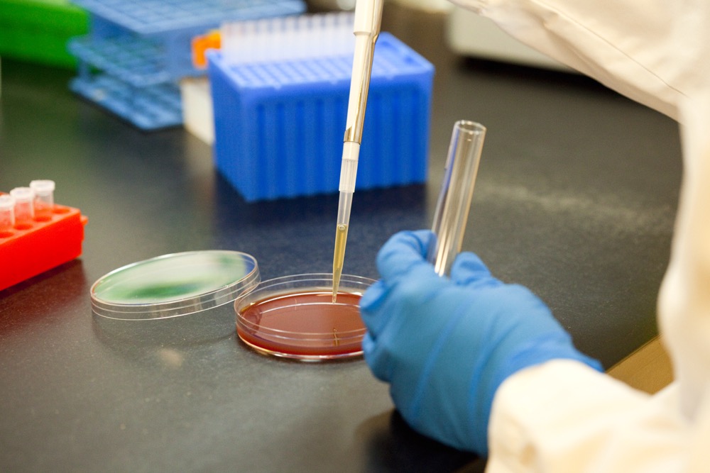 research in a laboratory